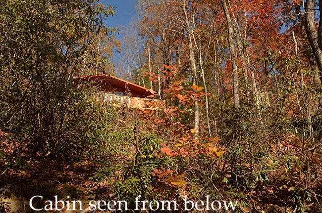 فيلا #820 Honeymoon Hideaway جاتلينبرج المظهر الخارجي الصورة